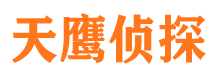 柳北市侦探调查公司